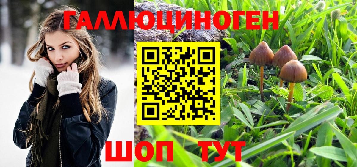 Чусовой  Галлюциногенные грибы прущие грибы  Вход с VPN 